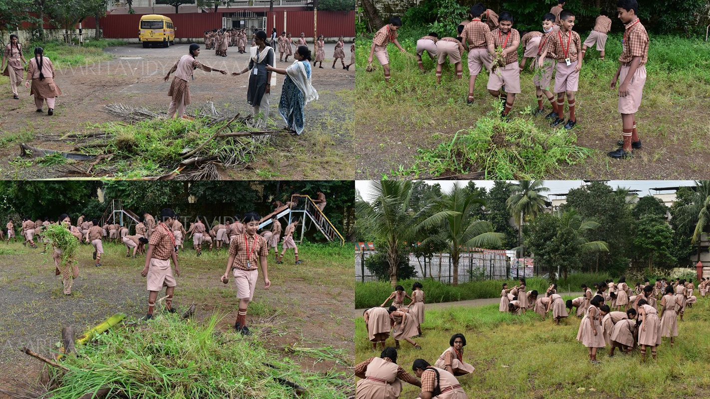 CLEANLINESS DRIVE 2022 - 7