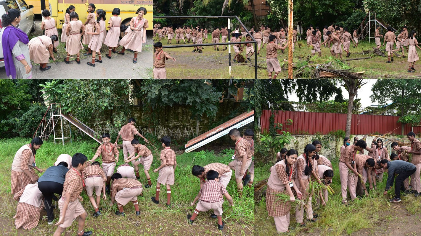 CLEANLINESS DRIVE 2022 - 8